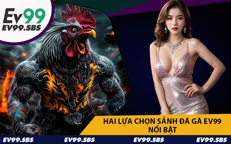 Hai Lựa Chọn Sảnh Đá Gà EV99 Nổi Bật