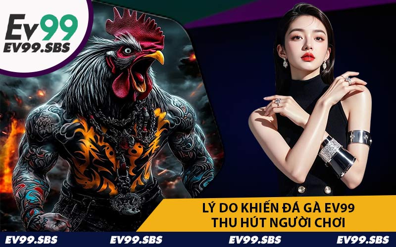 Lý Do Khiến Đá Gà EV99 Thu Hút Người Chơi